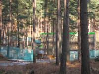 dhsetswinleyforest1009.jpg