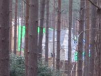 dhsetswinleyforest1018.jpg