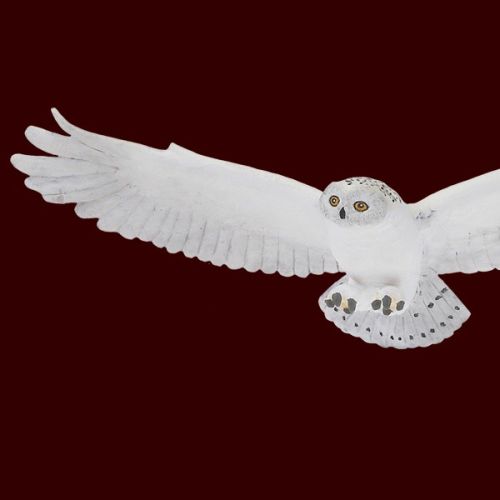 Click to view full size image
==============
Harry-Potter-Actionfigur_35B55D.jpg Harry-Potter-Actionfigur_35B55D.jpg