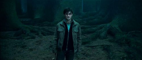 harryflorestardm.jpg