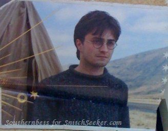 snitchseeker-2011calendar_281029.jpg