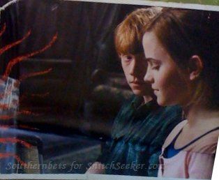 snitchseeker-2011calendar_281229.jpg snitchseeker-2011calendar_281229.jpg