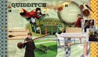 Picture_45.png