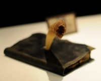 Tom_Riddle__s_diary_by_nikon373.jpg