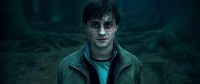 harryflorestardm2.jpg