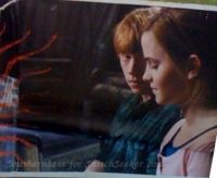 snitchseeker-2011calendar_281229.jpg