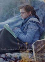 snitchseeker-2011calendar_282029.jpg