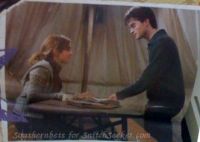 snitchseeker-2011calendar_28829.jpg