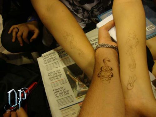 DSC08658_c2B7Cpia.jpg