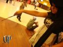 DSC08683_c2B7Cpia.jpg