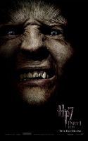 Greyback.jpg