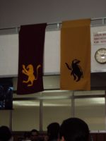 Hogfest3.JPG