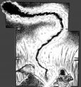 JimCornish_StoryBoards_6_281029.jpg