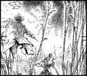 JimCornish_StoryBoards_6_281529.jpg