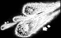 JimCornish_StoryBoards_6_282029.jpg