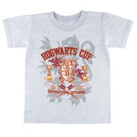 L_QUIDDITCH_Apparel_Youth_HarryPotter_Apparel_HogwartsCupYouthT-Shirt_YHOGWARTCUPT_GRY.JPG