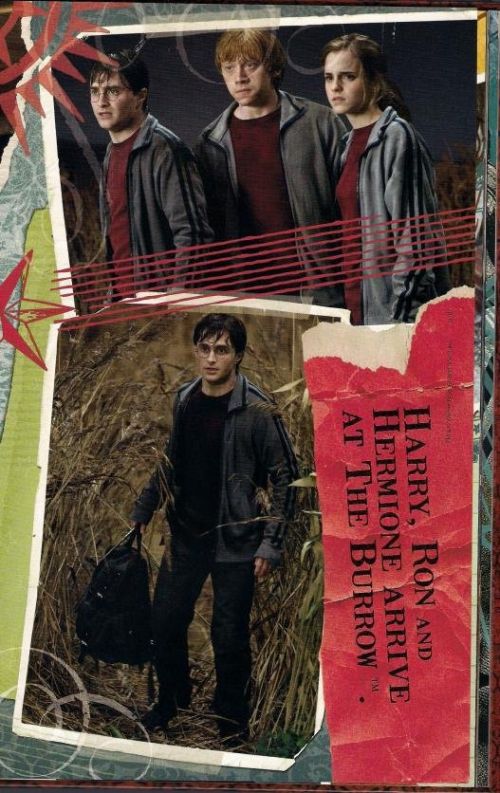 DH_poster_book_scans_280629.jpg