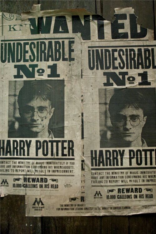 indesejavel-cenarios-scarpotter-2.jpg