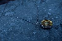 floresta-cenarios-scarpotter-2.jpg