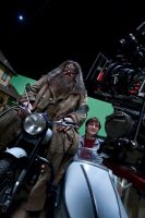 hagrid-harry-moto.jpg