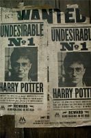 indesejavel-cenarios-scarpotter-2.jpg