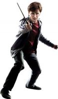 normal_pck03_ca_hpee7-harry.jpg