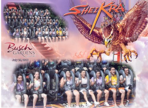 SHEIKRA.jpg