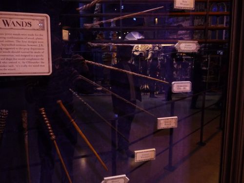 P1020133.JPG
