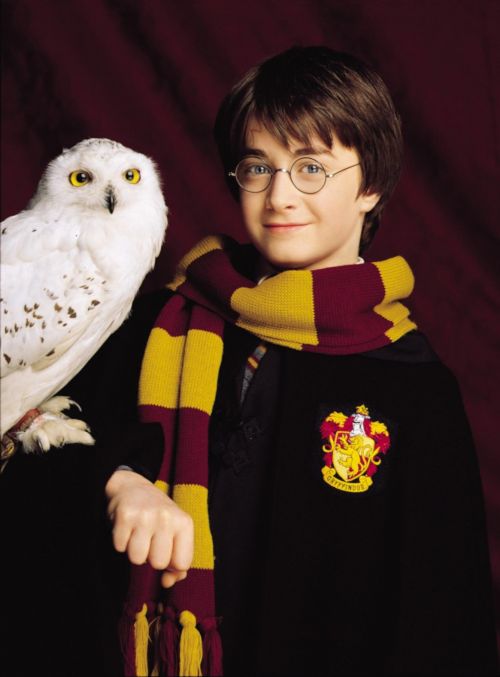 Click to view full size image
==============
photoshootPF_potterish_zx1_.jpg photoshootPF_potterish_zx1_.jpg