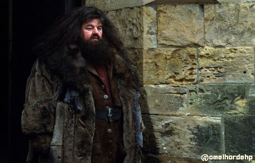 Click to view full size image
==============
stills_potterish_43.jpg stills_potterish_43.jpg