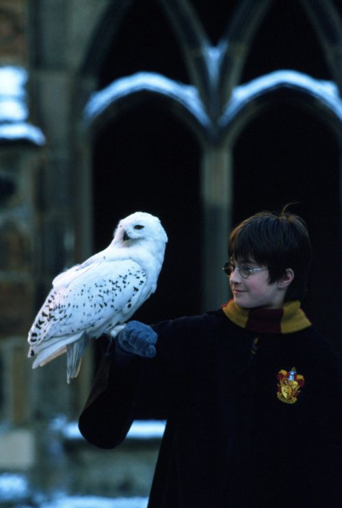 stills_potterish_45_28329.jpg