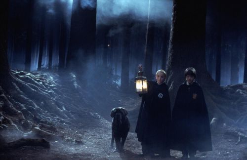 Click to view full size image
==============
stills_potterish_51.jpg stills_potterish_51.jpg