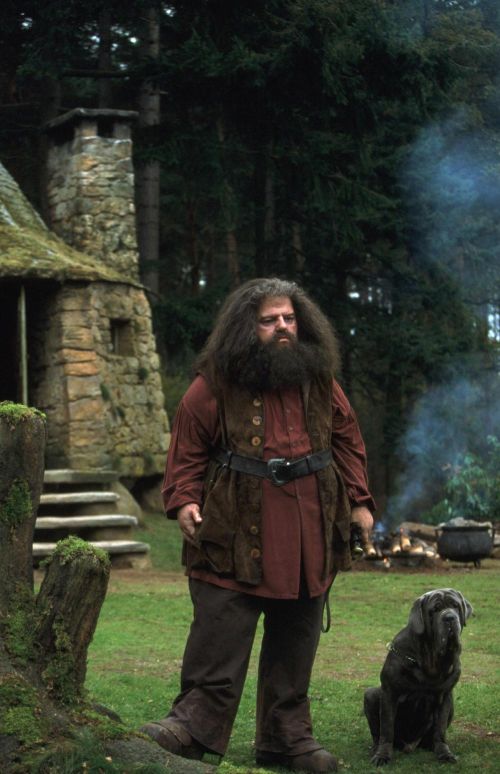 Click to view full size image
==============
stills_potterish_54.jpg stills_potterish_54.jpg