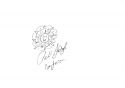 doodle_Patrick_Doyle.jpg