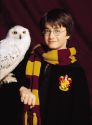 photoshootPF_potterish_zx1_.jpg