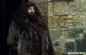 stills_potterish_43.jpg