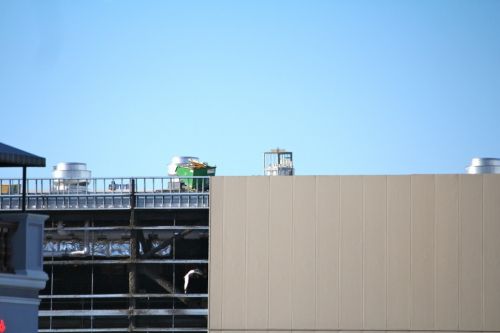 harry-potter-world-expansion-construction-february-2013-10.jpg