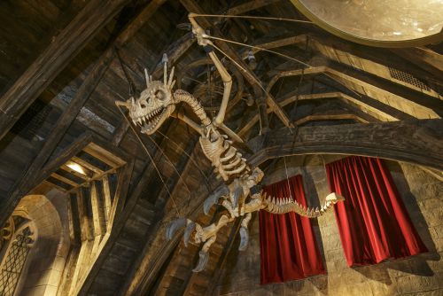 Click to view full size image
==============
Dragon_skeleton_in_Hogwarts_Castle-WWoHP_at_USH.jpg Dragon_skeleton_in_Hogwarts_Castle-WWoHP_at_USH.jpg