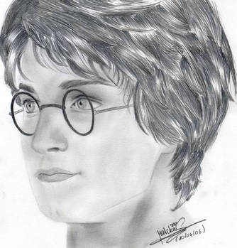 Harry_Potter_by_Patcha~0.jpg