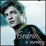 avatar_cedric.jpg