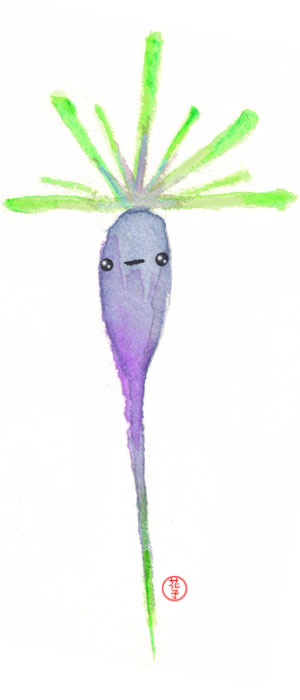 Gira-Gira
Gira-Gira