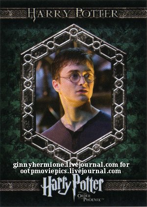 harry2.jpg