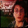 harrywhat_psdbyR_.png