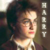 harry~0.jpg