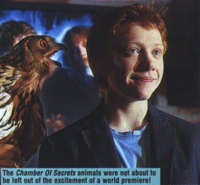 moviemagic_rup0_.jpg moviemagic_rup0_.jpg