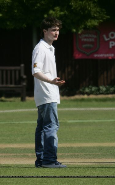 Cricket_(19).jpg