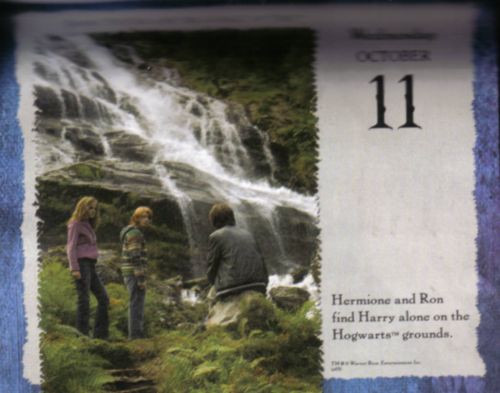 cdf-diadia02.jpg