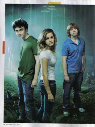 Click to view full size image
==============
ew_11nove2005.jpg ew_11nove2005.jpg