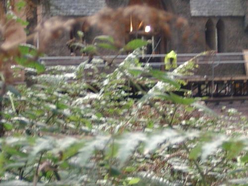 Click to view full size image
==============
Hogsmeade
Hogsmeade