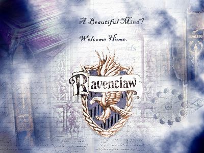 joxter-rawenclaw21024.jpg